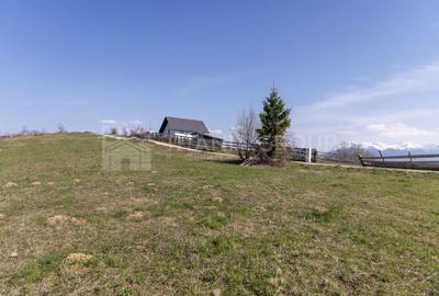 Teren Construcții intravilan de 3791 mp, în Poiana Mărului - 22