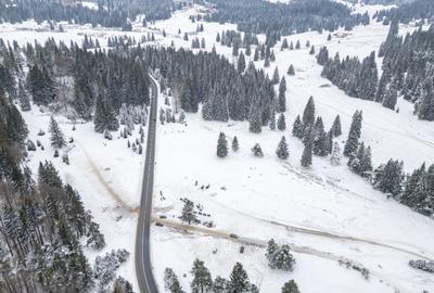Teren intravilan, constructii S+P+2E+M, Drumul Poienii - 12