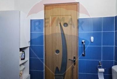 Apartament cu 2 camere de vanzare in zona Precista - 9