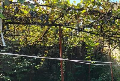 Casă cu 3 camere cu Teren 467 Mp în Călan - 1