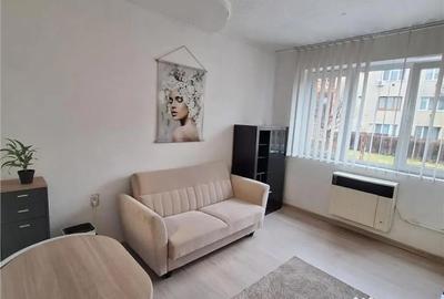 Garsonieră semidecomandată în Noua - 6