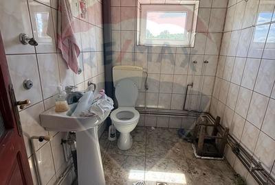 Casă cu 7 camere cu Teren 8286 Mp în Copalnic - 9