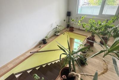 Casa de vanzare KM 4-5 D+M - 17