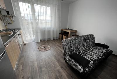Apartament cu 2 camere semidecomandat în Turnișor - 4