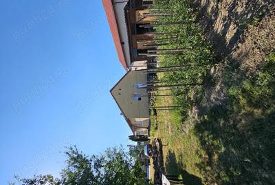 Vand casa 4 camere Pestisu Mare - 2