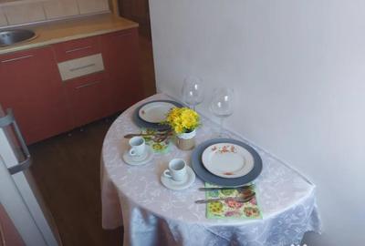 Garsonieră semidecomandată în Lujerului - 8