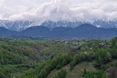 Teren Construcții intravilan de 6966 mp, în Bran - 27