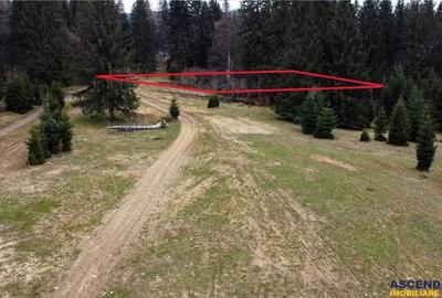 Teren de 1000 mp, în Poiana Brașov