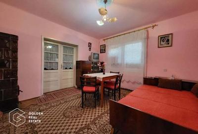 Casa cu 2 corpuri de cladire, oras Lipova - 11