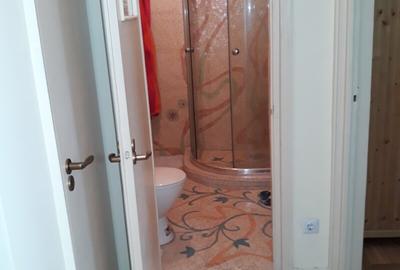 Lacul Tei, Parcul Circului, Lidl, Mega Image, adiacent - 14