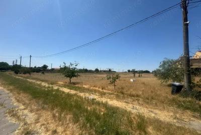 Teren de 90000 mp, în Sânandrei