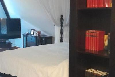 Domeniu  in Prahova- probabil una dintre cele mai frumoase reședințe - 23