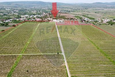 Oportunitate vie 54 ha la DN E85 - 13