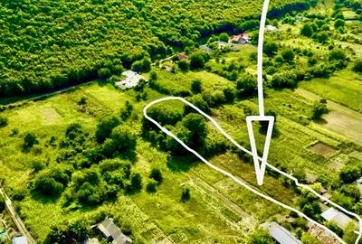 Vand Casa la Munte in Slava Rusa, 2000 m2 - 8