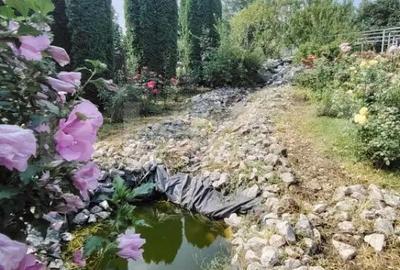 Casă cu 5 camere cu Teren 1090 Mp în Târnăveni - 10