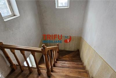 Casă cu 8 camere cu Teren 863 Mp în Meteș - 11