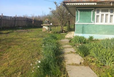Casă cu 3 camere în Rusca - 3
