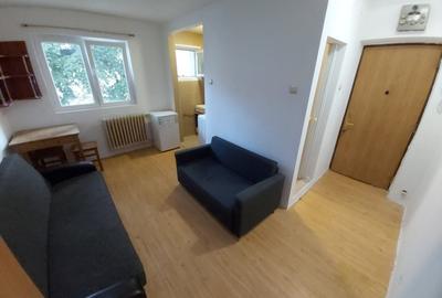 Piata Alba Iulia, mobilata, 240 euro - 7