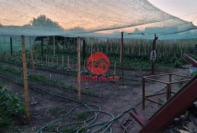 Casă cu Teren 1711 Mp în Topraisar - 8