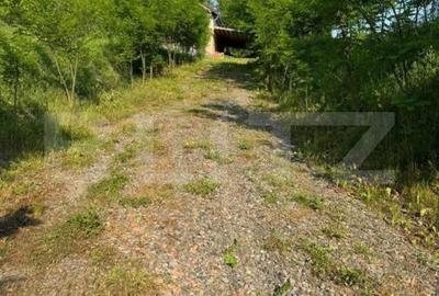 Casă cu 3 camere în Cecălaca - 1