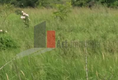 Teren Construcții intravilan de 3000 mp, în Sud - 29