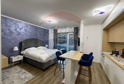 Studio luminos,55 mp, 2022 + parcare, Sinaia, introdus regim hotelier - 14
