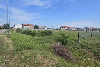 Teren de 600 mp, în Botiz - 7