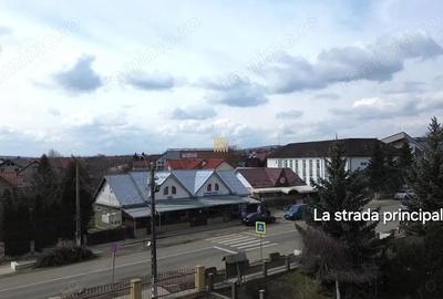 Spațiu comercial, de 273 mp, în Șcheia - 3