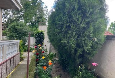 Casa solida, spa?ioasa ?i versatila in zona centrala, Sannicolau Mare - 9