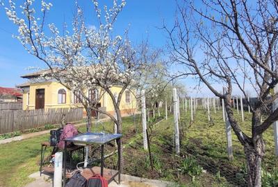 Casă cu 2 camere în Giurgița - 5