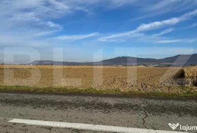 Teren de 5300 mp, în Arcalia - 2