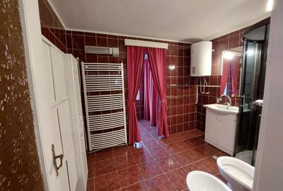 Casă de închiriat, curte mare, livadă și piscină Snagov/Ciolpani - 6