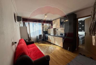 Apartament cu 2 camere de vanzare in zona Alfa - 9