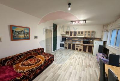 Apartament cu 2 camere nedecomandat, mobilat în Funcționarilor - 1