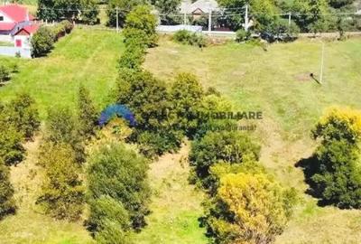 TEREN intravilan 2510 mp BORLE?TI - ?OVOAIA - 6