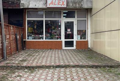 Spațiu comercial, de 100 mp, în Alecu Russo - 6