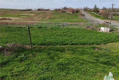 Teren Construcții intravilan de 5600 mp, în Pantelimon - 7