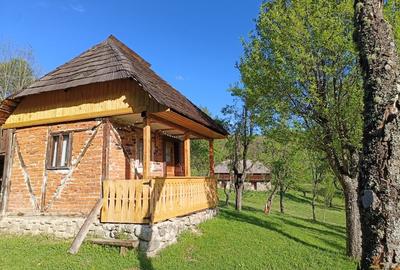 Teren superb, in mijlocul pădurii - 11