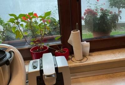 Casă individuală cu 5 camere cu Canalizare în Tomis II - 6