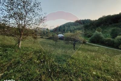 Spațiu comercial, în Bârsana