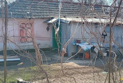 Casă cu 2 camere în Socetu - 5
