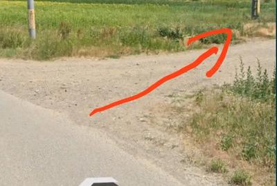 Teren de 3254 mp, în Moreni - 4