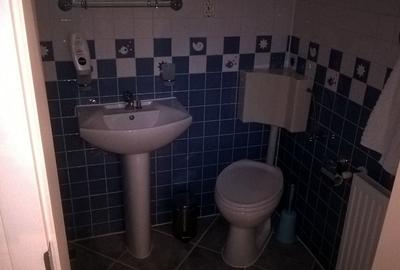 Casa 9 camere renovata, pretabila pensiune CRISTIAN - 12