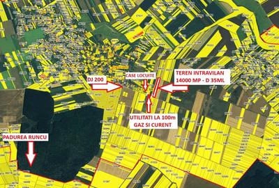 Teren Construcții intravilan de 14000 mp, în Dascălu - 3