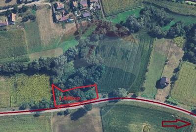 Teren 1,400mp Medias / Valea lunga - 2
