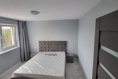 TOMIS NORD CIRESICA 2 CAMERE 600 EURO NEGOCIABIL TERMEN LUNG - 3