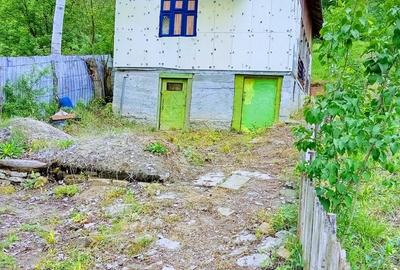 Moreni, Dambovita - 6