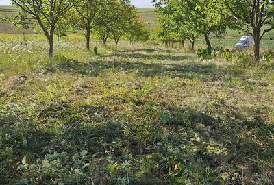 Spațiu comercial, în Mărtinești - 4