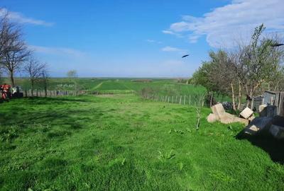 Colaborare in diverse afaceri - 5