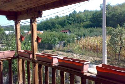 Casă cu 4 camere în Făgețelu - 8